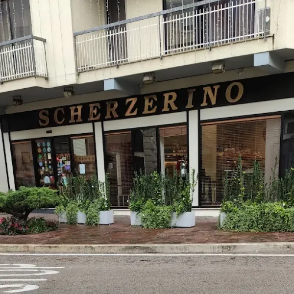 Scherzerino srl